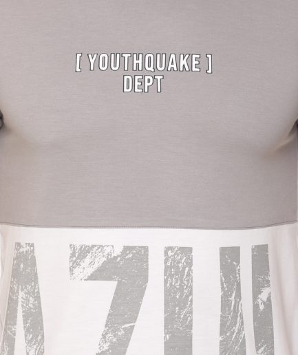 Men's Cotton Blended Cut & Sew Round Neck Regular Fit Grey Color T Shirt