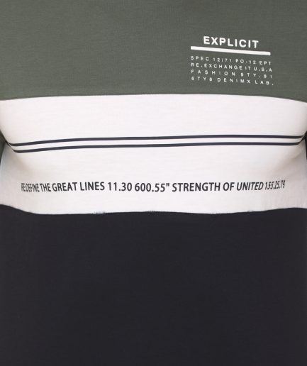 Men's Cotton Blended Cut & Sew Round Neck Regular Fit Olive Color T Shirt